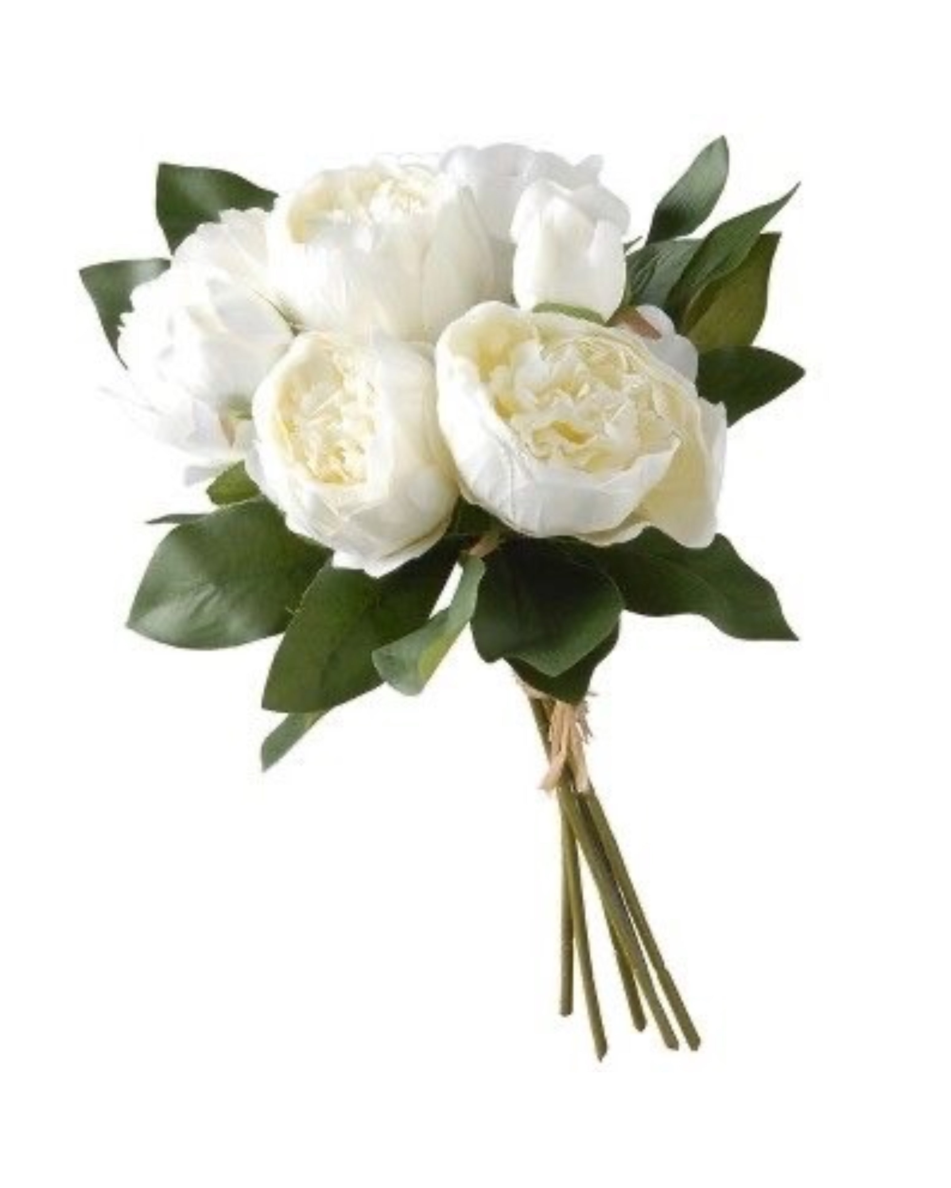 RAMO PEONIA CORTO - BLANCO