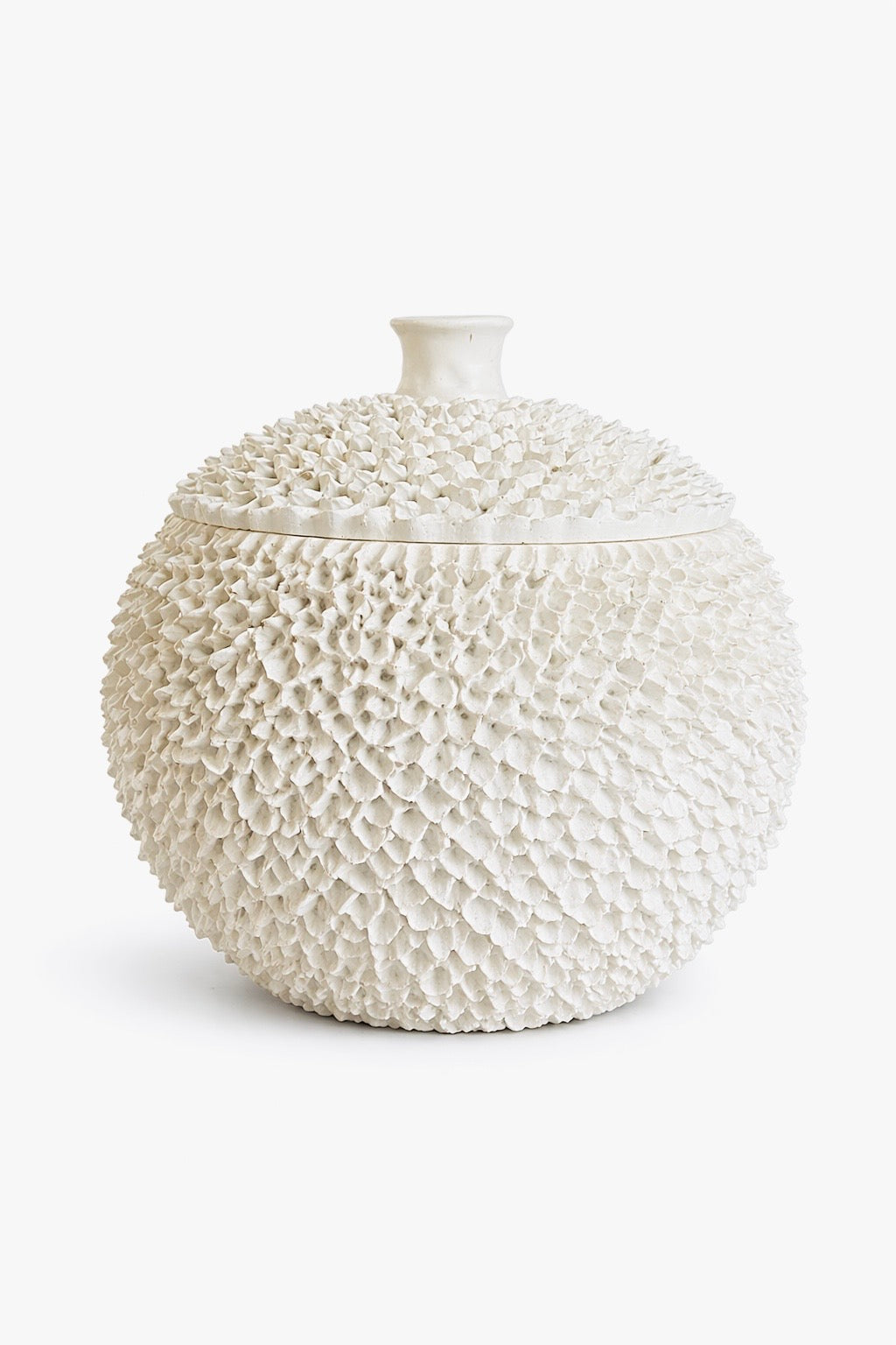 JARRON CORAL IVORY CON TAPA