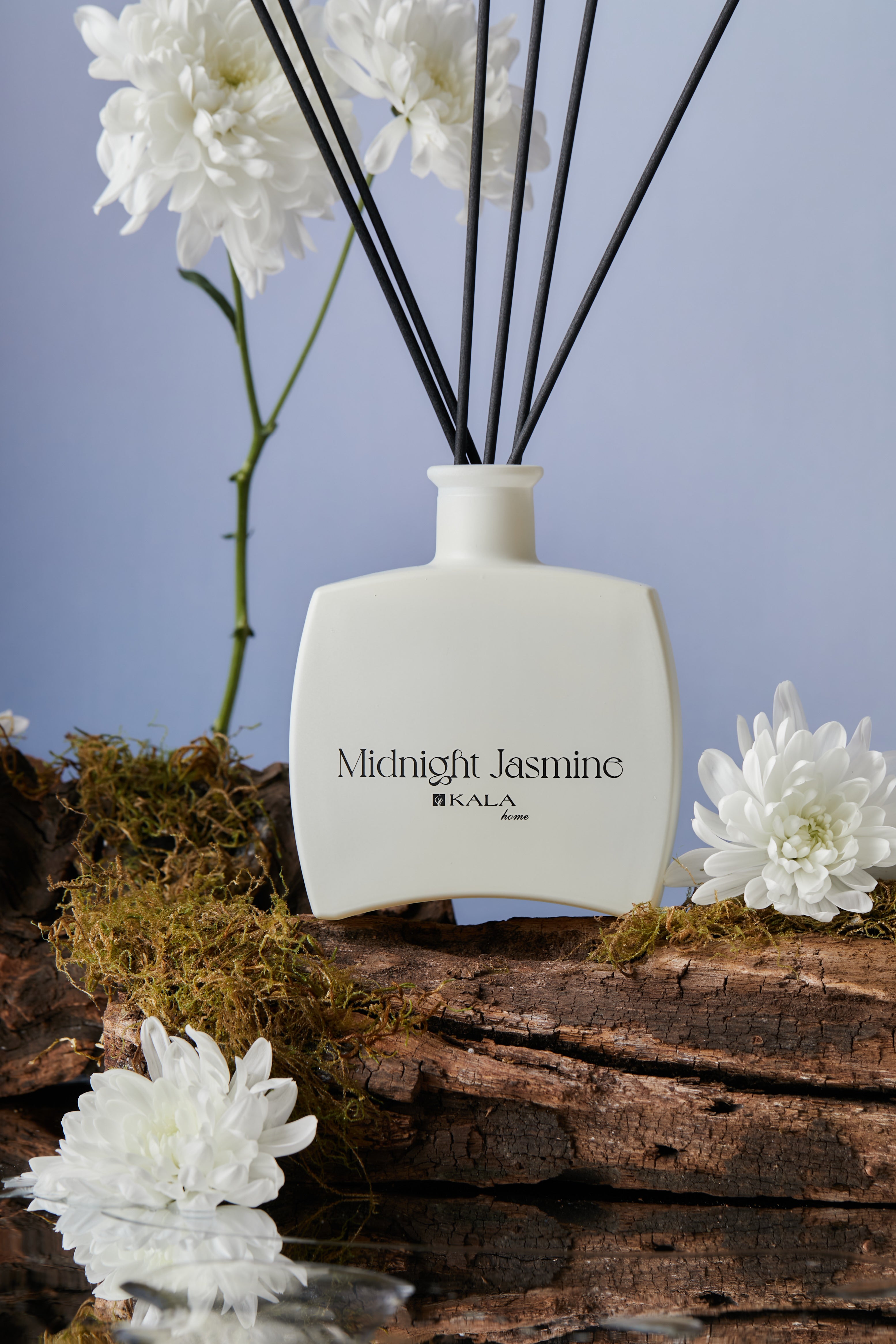 ¡NEW! DIFUSOR AMBIENTAL CONCISE MIDNIGHT JASMINE