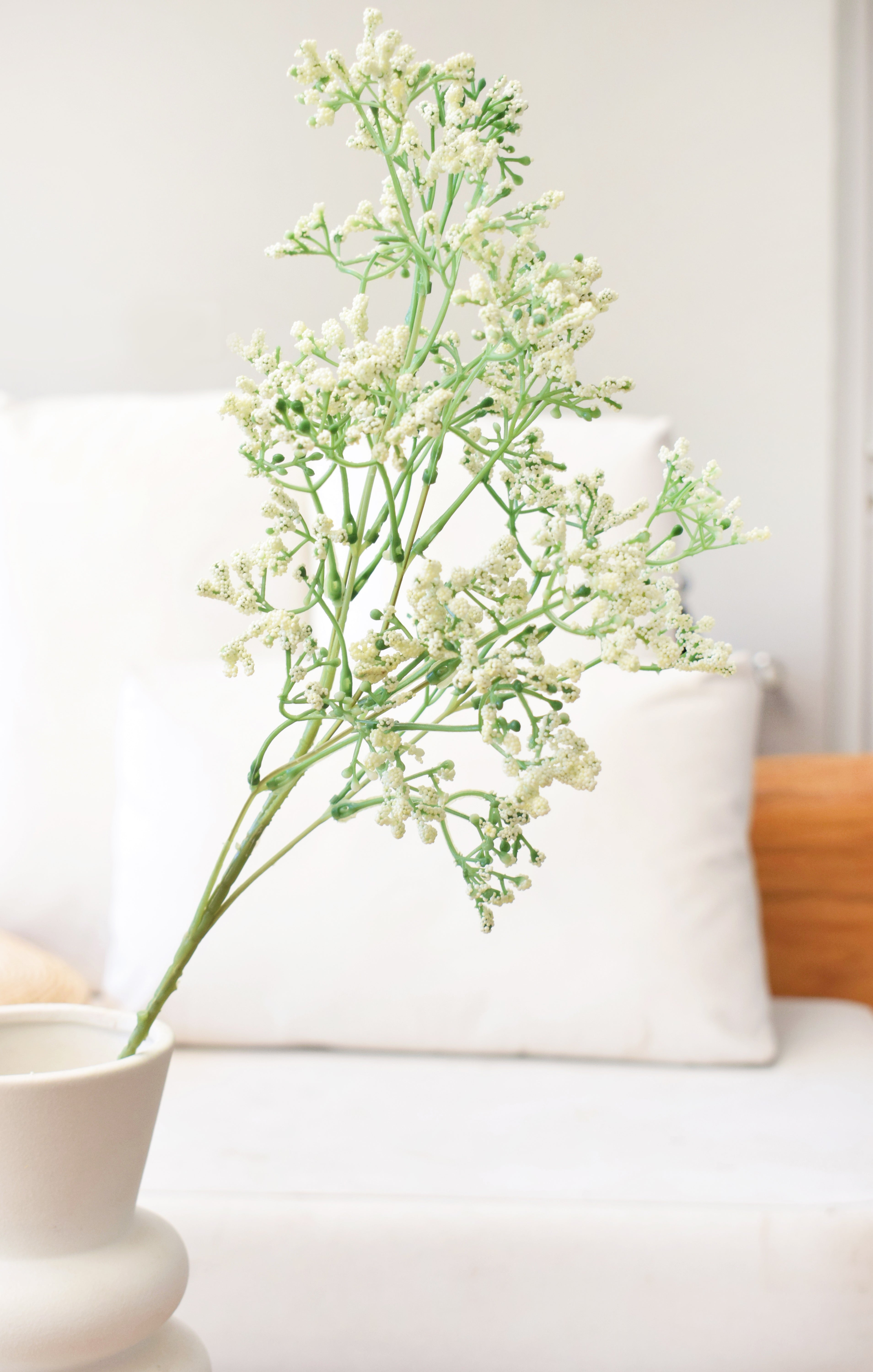 VARA GYPSOPHILA