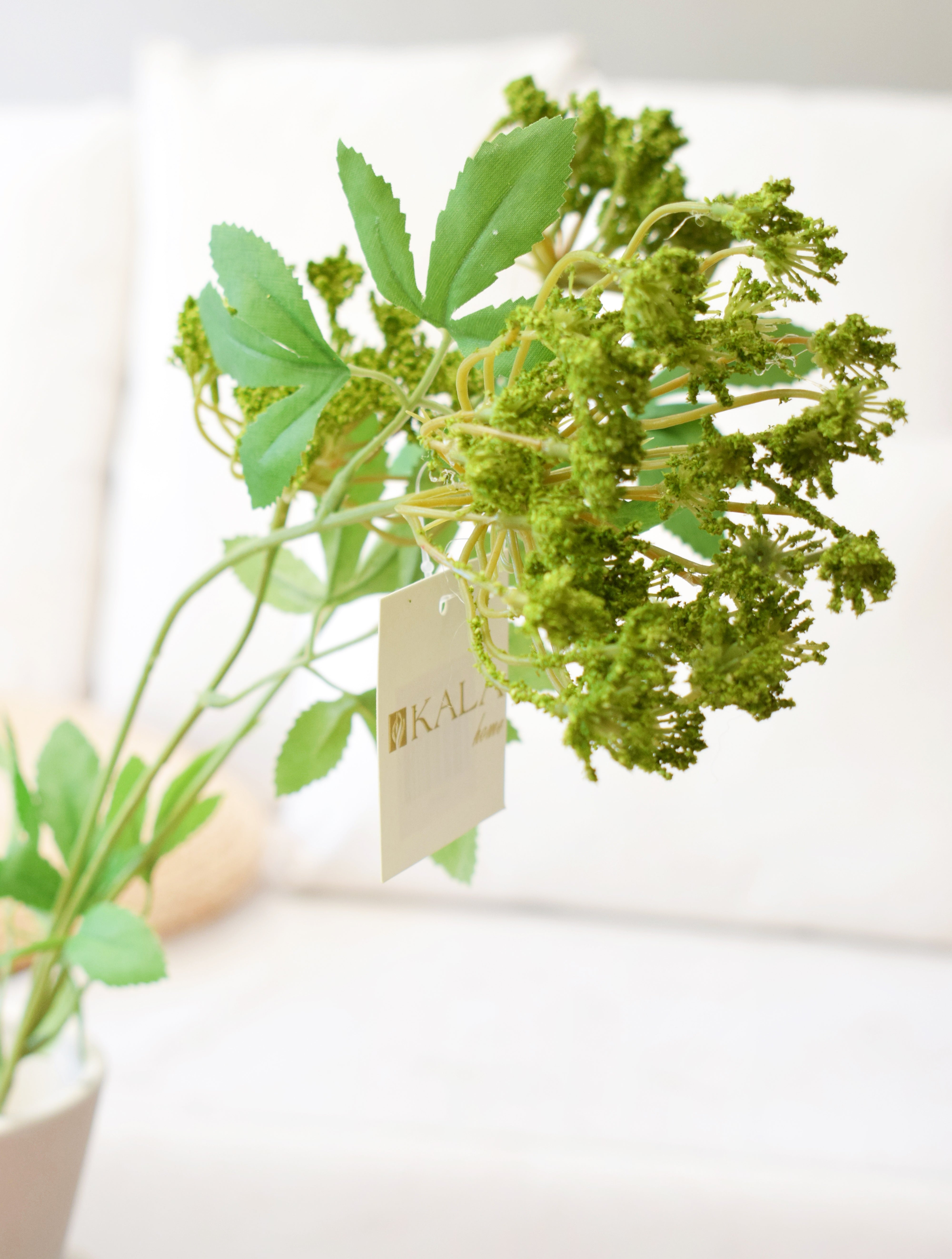 VARA TRADESCANTIA VERDE