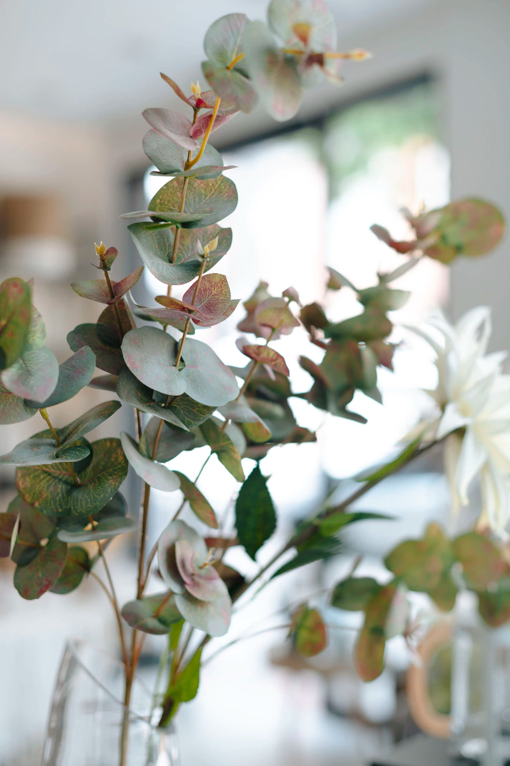 VARA EUCALIPTO VERDE