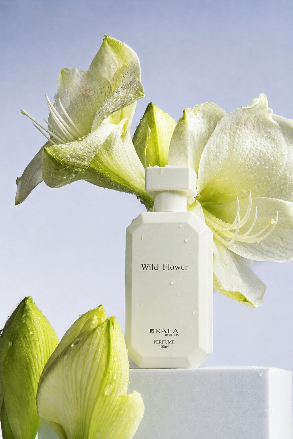 PERFUME WILD FLOWER