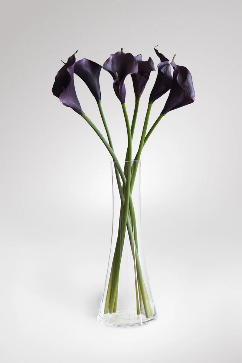 VARA CALA VIOLETA