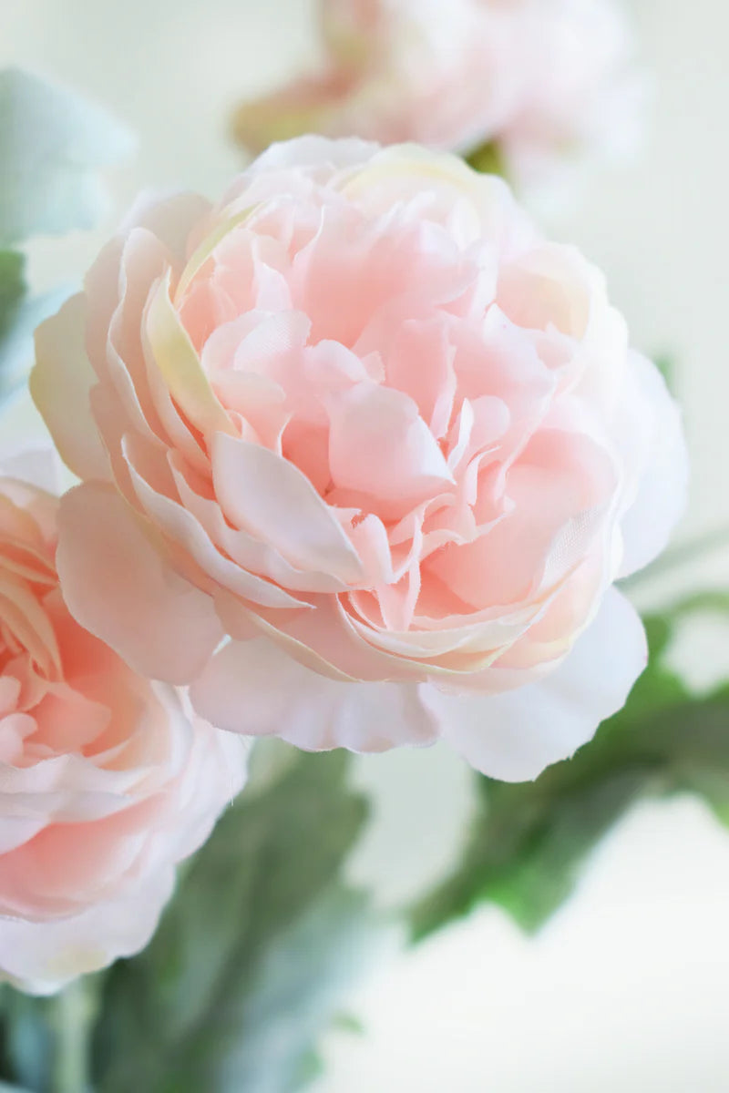 VARA DALIA ROSA