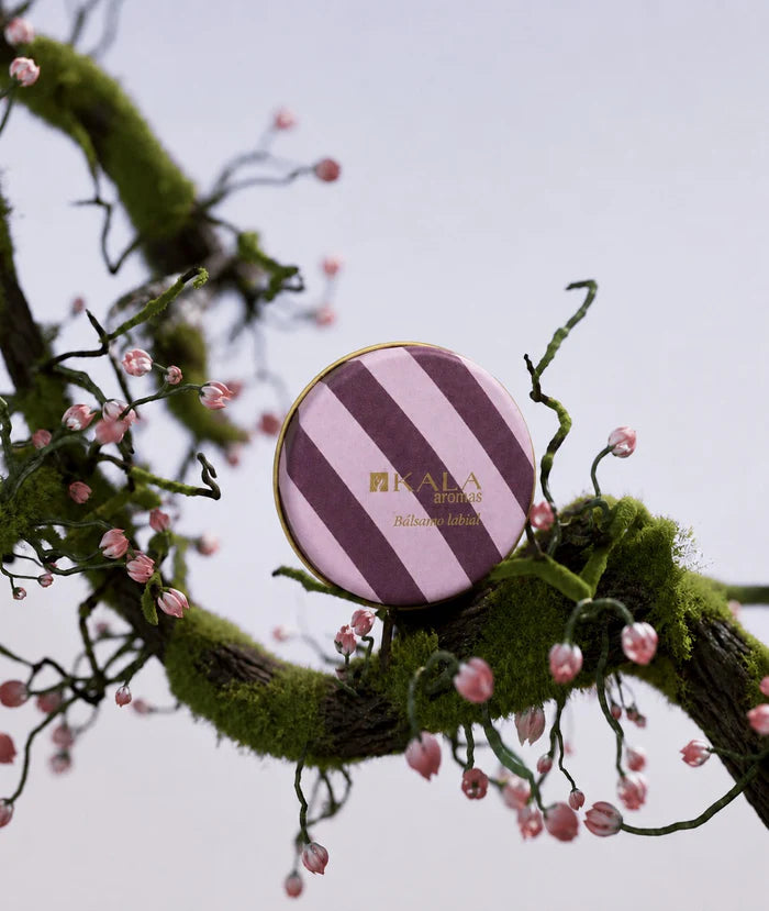 BALSAMO LABIAL STRIPE ROSA