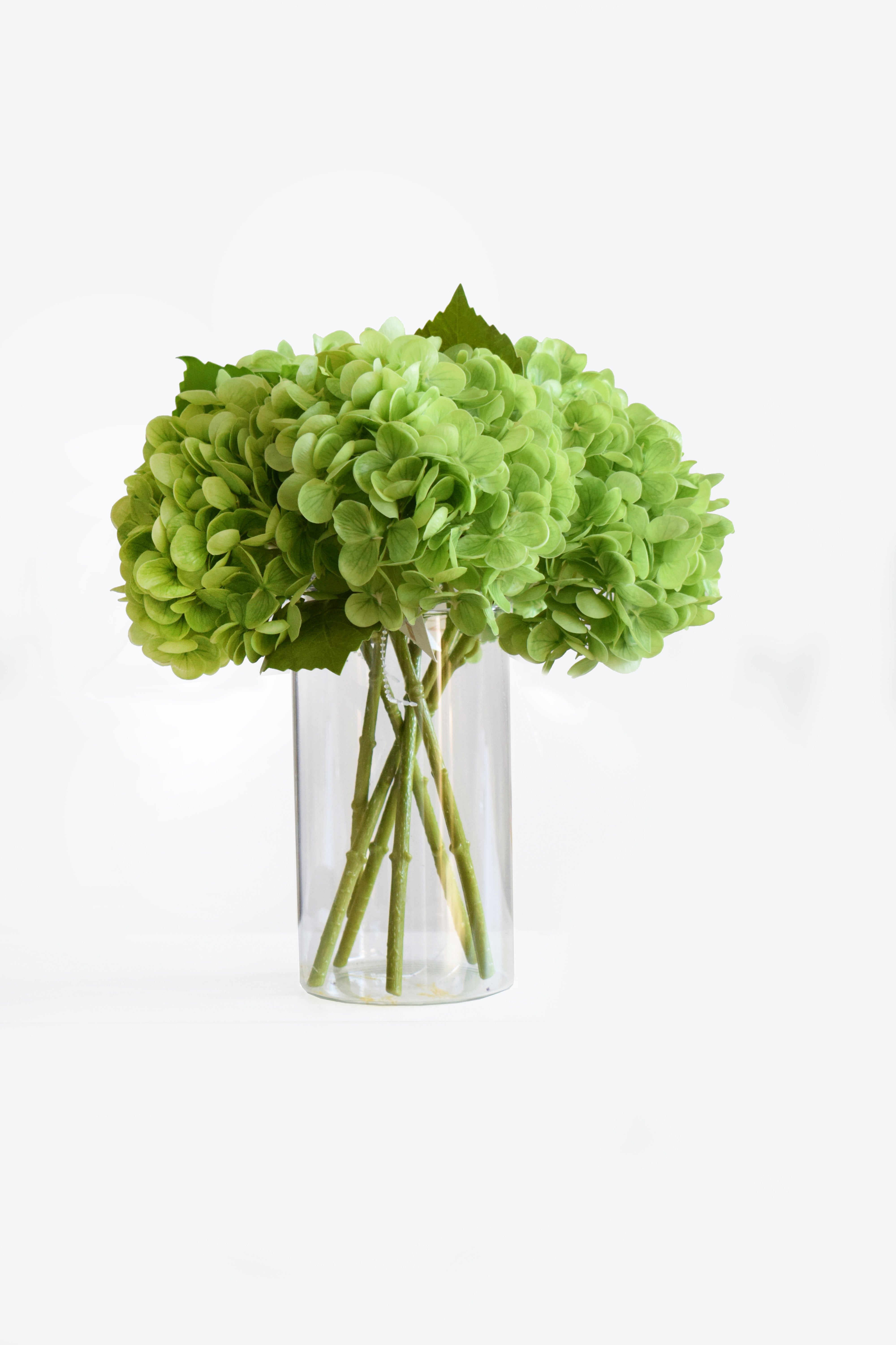 VARA HYDRANGEA