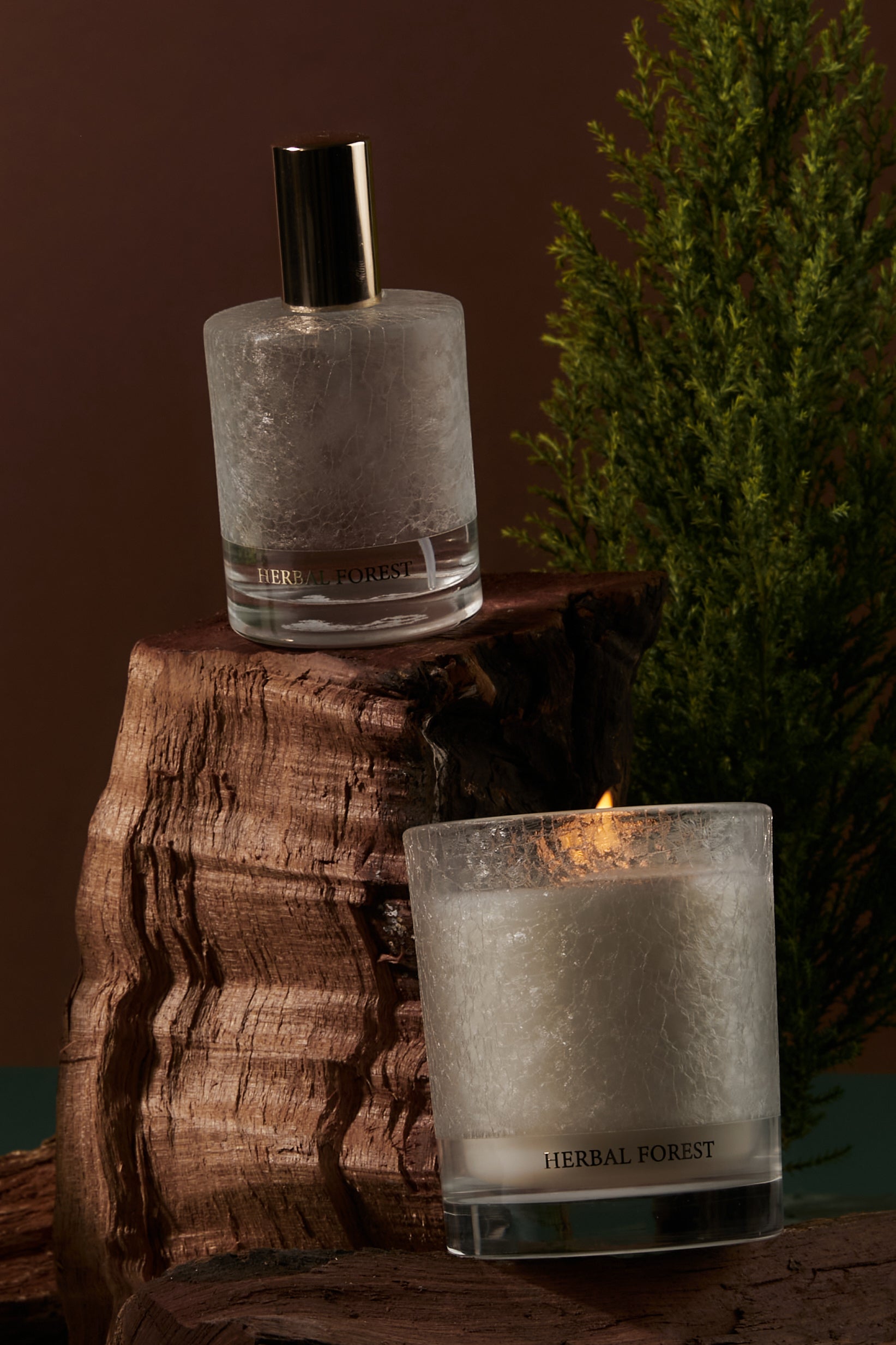 AROMATIZANTE AMBIENTAL HERBAL FOREST X 100