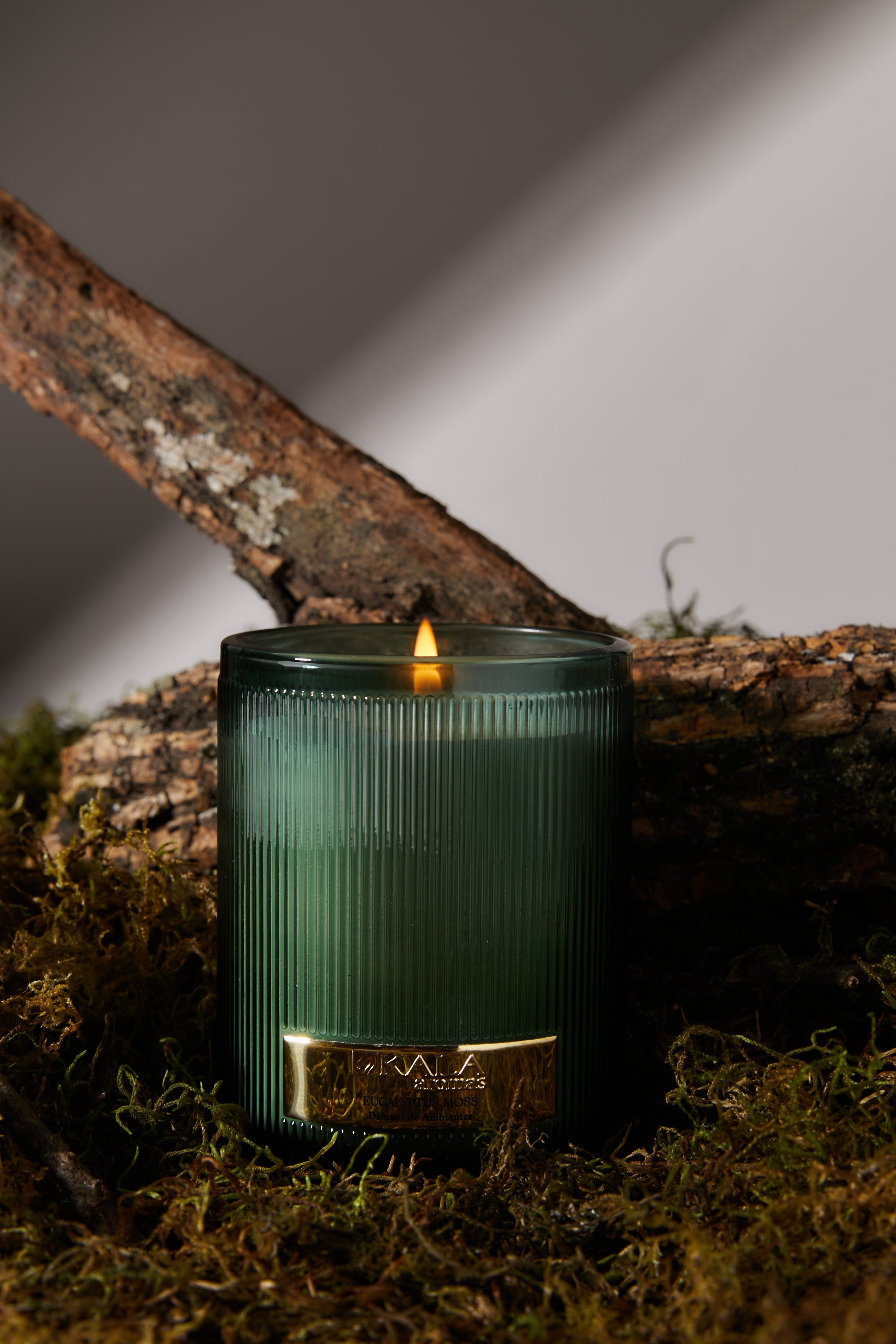 VELA EUCALIPTUS MOSS