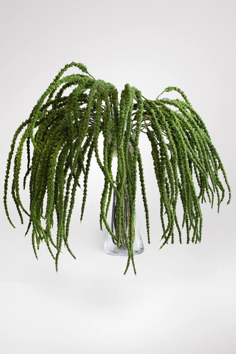 VARA AMARANTO VERDE