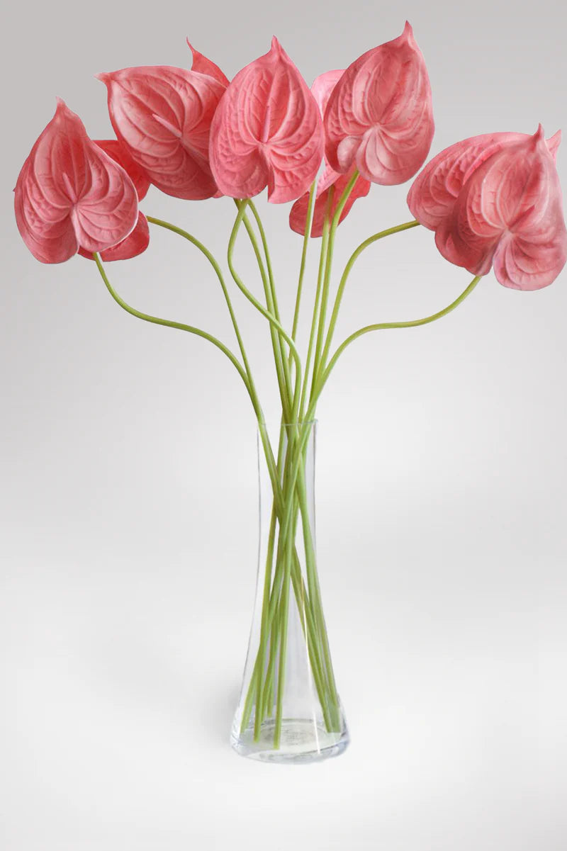 VARA ANTURIO ROSA OSCURO