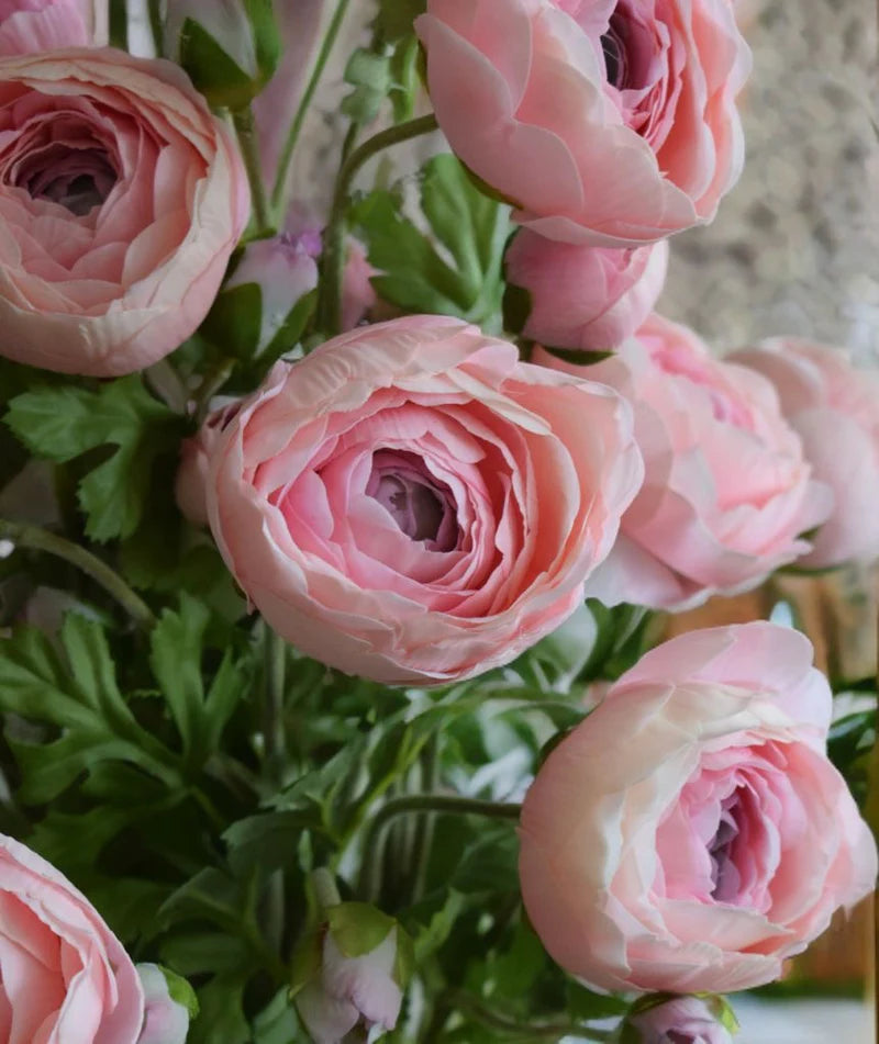 VARA ROSA INGLESA